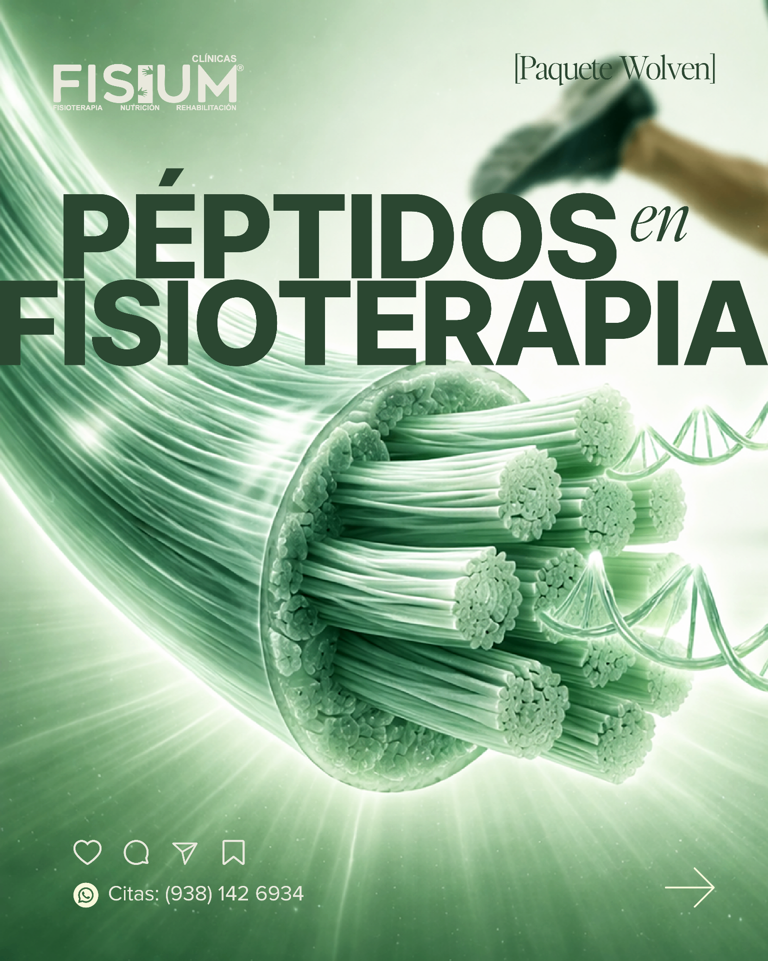 Péptidos en fisioterapia FISIUM Clínicas Carmen